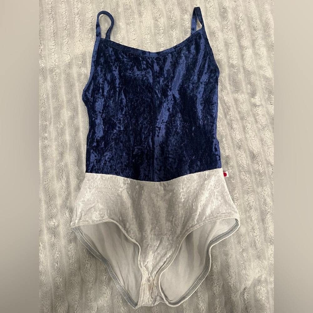 Yumiko Velvet Leotard Blue and White (lined)